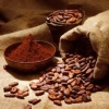 Selling Cocoa Powder